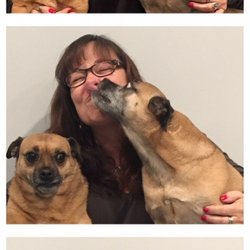 Cuts and Cuddles Dog Spa
