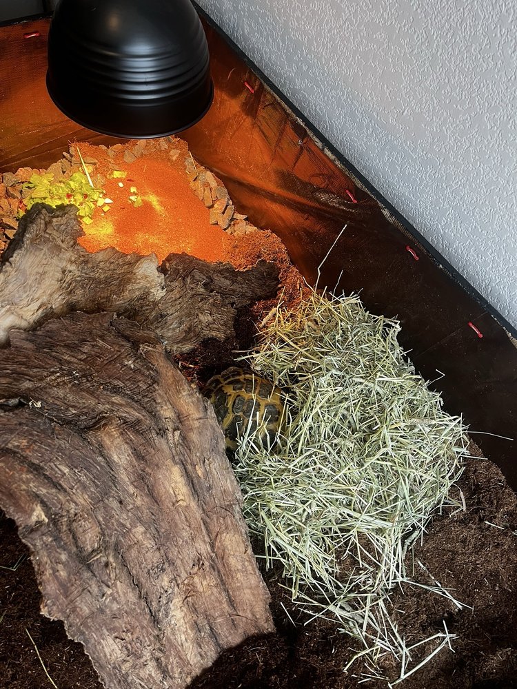 Parker Exotic Pets Image