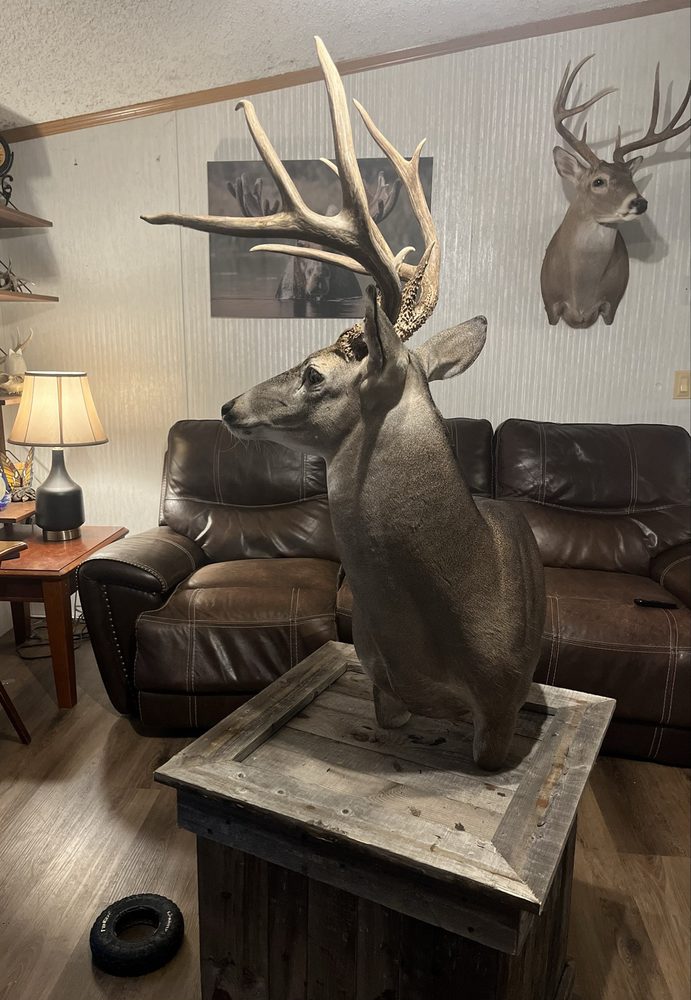 Alpha Taxidermy - taxidermy in Terrell, TX