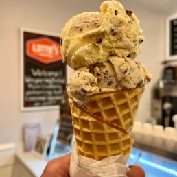 Mint Chocolate Chip Ice Cream