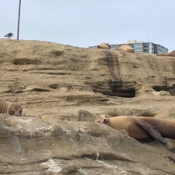 La Jolla Cove - Parks Near Me - La Jolla, California La Jolla Cove - Parks Near Me - La Jolla, California
