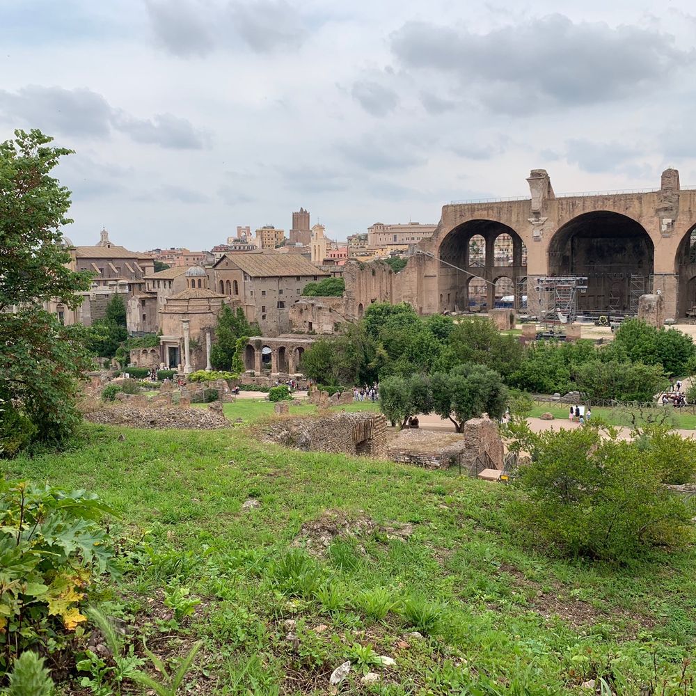 Colosseo - Local Flavor Near Me - Rome, RM
