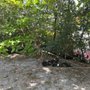 Photo of Cherry Creek Park