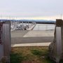 Photo of Leif Erikson Statue