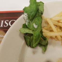 Old lettuce that's browning. Old lettuce that's browning.