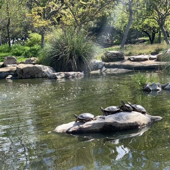 Hopkins Wilderness Park - Awesome - Parks Near Me - Redondo Beach, California