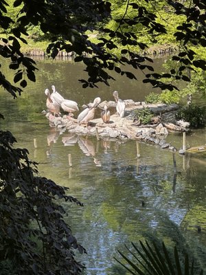 Parc de la Citadelle by null