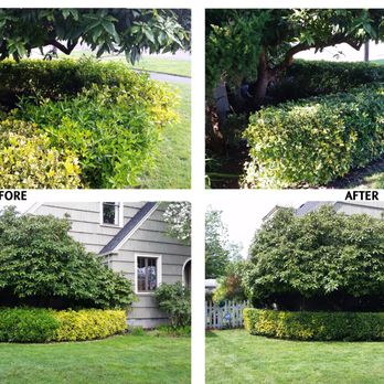 SnoCo Lawn Care - before and after - Landscaping Near Me - Everett, Washington SnoCo Lawn Care - before and after - Landscaping Near Me - Everett, Washington