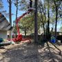 Photo of Louisiana Tree Pro