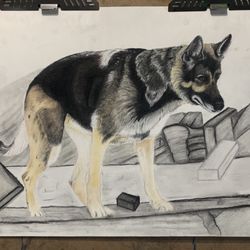 TeresaSnyder Photos - Commissioned