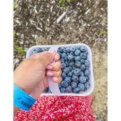 Johnson's Farm Produce