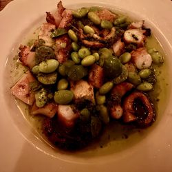 Alberto’s Lounge - Australia octopus
