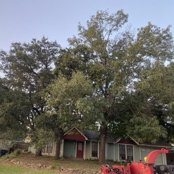 Neon Monkey Services - This is the before photo.  That is their equipment on the street ready to go. - Tree Services Near Me - Fort Worth, Texas
