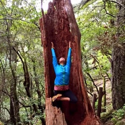 Wilderness Yoga Collective - Tree pose inside a hollowed out Redwood on the Cataract Falls trail in Fairfax, CA