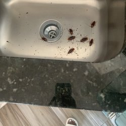 Sunset Beach House - Roaches in suite #3