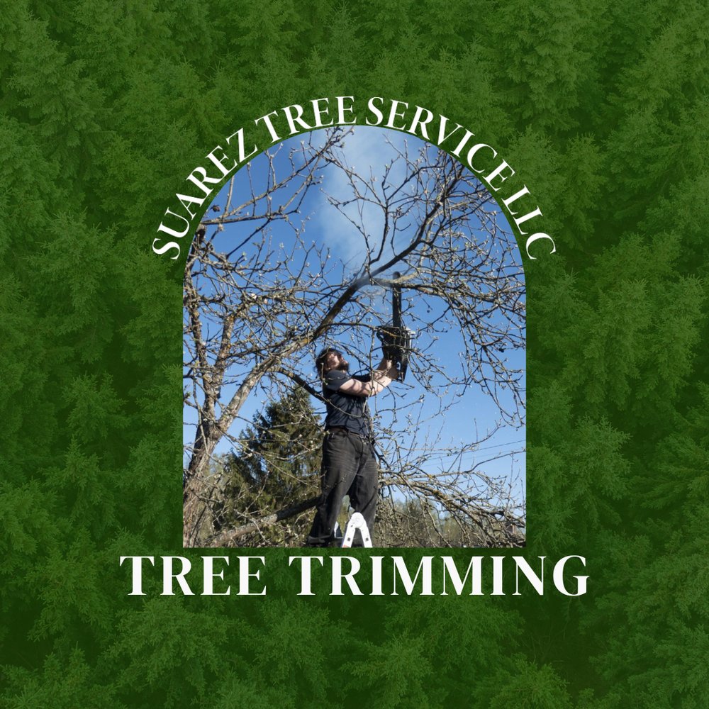 Suarez Tree Service - tree service in San Francisco, CA