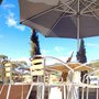 Photo of Ngeringa Vineyard