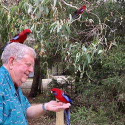 The Private Tour Guide - Hungry parrots.