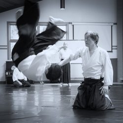 Aikido - Center/circle