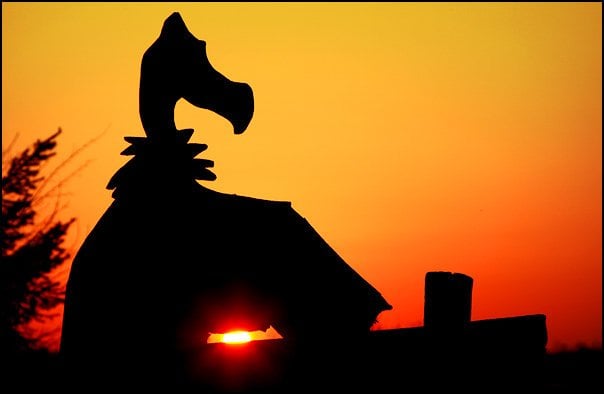 Social spots from Vulture's Knob Mountain Bike Park