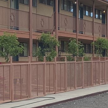 Transformed Trees and Landscaping - How beautiful they look! - Landscaping Near Me Transformed Trees and Landscaping - How beautiful they look! - Landscaping Near Me