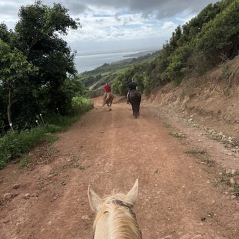 Circle M Ranch - Horseback Riding Near Me - Wailuku, Hawaii Circle M Ranch - Horseback Riding Near Me - Wailuku, Hawaii
