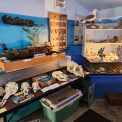 Rancho El Chorro Outdoor School - A section in the marine center