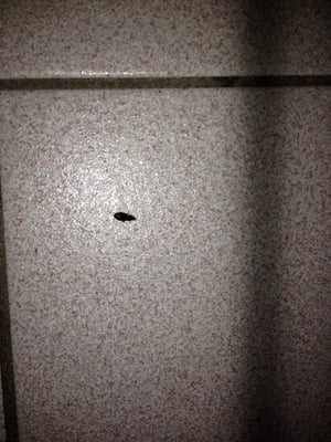 Hwy Express Inn and Suites