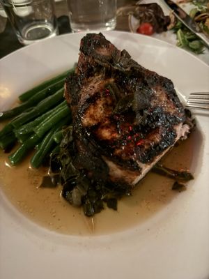 Salt & Stone by null