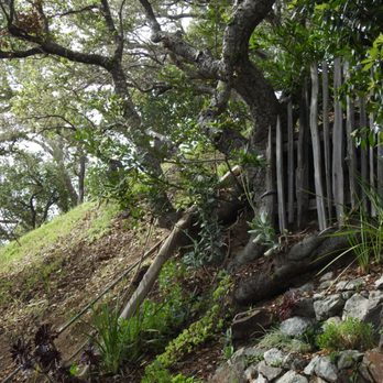 Nepenthe - New American Near Me - Big Sur, California