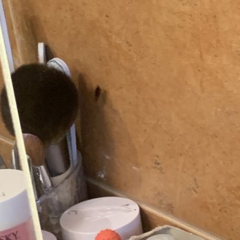Nail Time Julington Creek - Roach!!!! ew! all the lady did was look at it and laugh - Nail Salons Near Me - Jacksonville, Florida