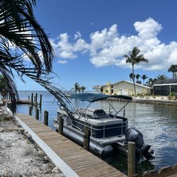 Fantastic gulf view from your table on the dock. Fresh seafood and fast service! Pet friendly! The food was delicious!