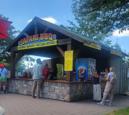 African Lion Safari by null