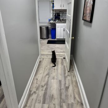 Highland Veterinary Hospital - Veterinarians Near Me - Highland, Maryland Highland Veterinary Hospital - Veterinarians Near Me - Highland, Maryland