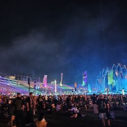 Cosmic meadow