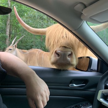 Lazy 5 Ranch - Zoos Near Me - Mooresville, North Carolina