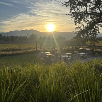 Mumm Napa - Incredible views! - Wine Tasting Room Near Me - Rutherford, California Mumm Napa - Incredible views! - Wine Tasting Room Near Me - Rutherford, California