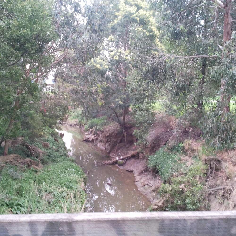 Collier Reserve - Parks Near Me - Wantirna South, VIC