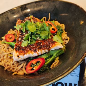Wagamama - Asian Fusion Near Me - Tampa, Florida Wagamama - Asian Fusion Near Me - Tampa, Florida