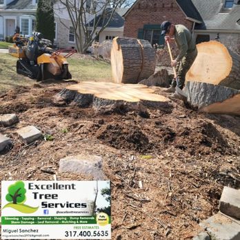 Excellent Tree Services - We are a family owned business who would love to work with you. Our phone number 317-400-5635 Our location Indiana - Tree Services Near Me
