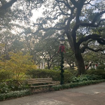 Forsyth Park - So many beautiful trees. Have a seat and relax! - Parks Near Me - Savannah, Georgia Forsyth Park - So many beautiful trees. Have a seat and relax! - Parks Near Me - Savannah, Georgia