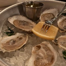 Oysters Oysters