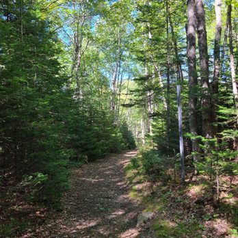 Petit Manan Wildlife Refuge - Gravel/natural mulch - Hiking Near Me