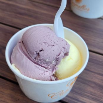 Carmella's - Blackberry and lemoncello Gelato. - Desserts Near Me - Charleston, South Carolina Carmella's - Blackberry and lemoncello Gelato. - Desserts Near Me - Charleston, South Carolina