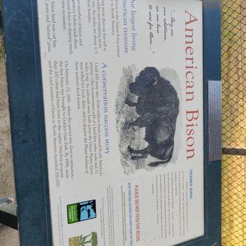 Golden Gate Park Bison - An informational board reg.the BISON!!! - Local Flavor Near Me - San Francisco, California