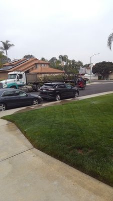 Sod installation - We did this yard and the neighbors wanted theirs done as well hence the truck dropping some sod pallets off. Fair prices! Call or text Fredy for a free quote 760-622-4076 Sod installation - We did this yard and the neighbors wanted theirs done as well hence the truck dropping some sod pallets off. Fair prices! Call or text Fredy for a free quote 760-622-4076