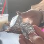 Taqueria La Libertad
