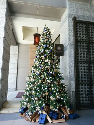 Oriental Hotel by null
