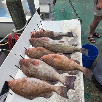 Charter Boat Phoenix - Tours Near Me - Destin, Florida