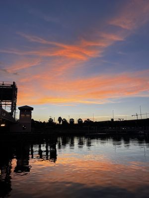 Tampa Riverwalk by null